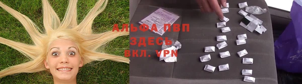 ALPHA PVP Баксан