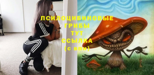 ALPHA PVP Баксан