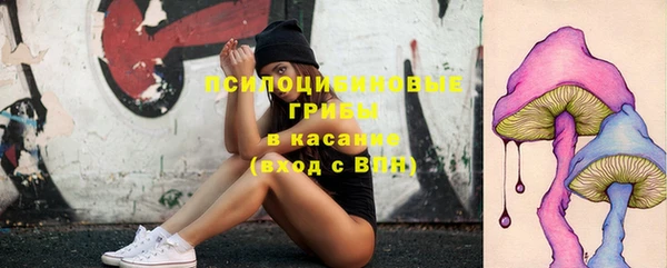 бошки Балахна