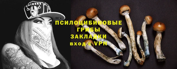 ALPHA PVP Баксан