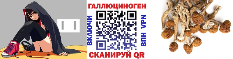 купить   Кунгур  Галлюциногенные грибы Magic Shrooms 